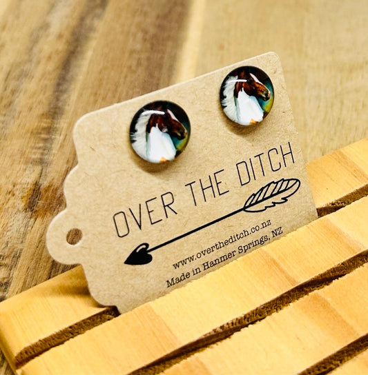 Domes - Lovely horse