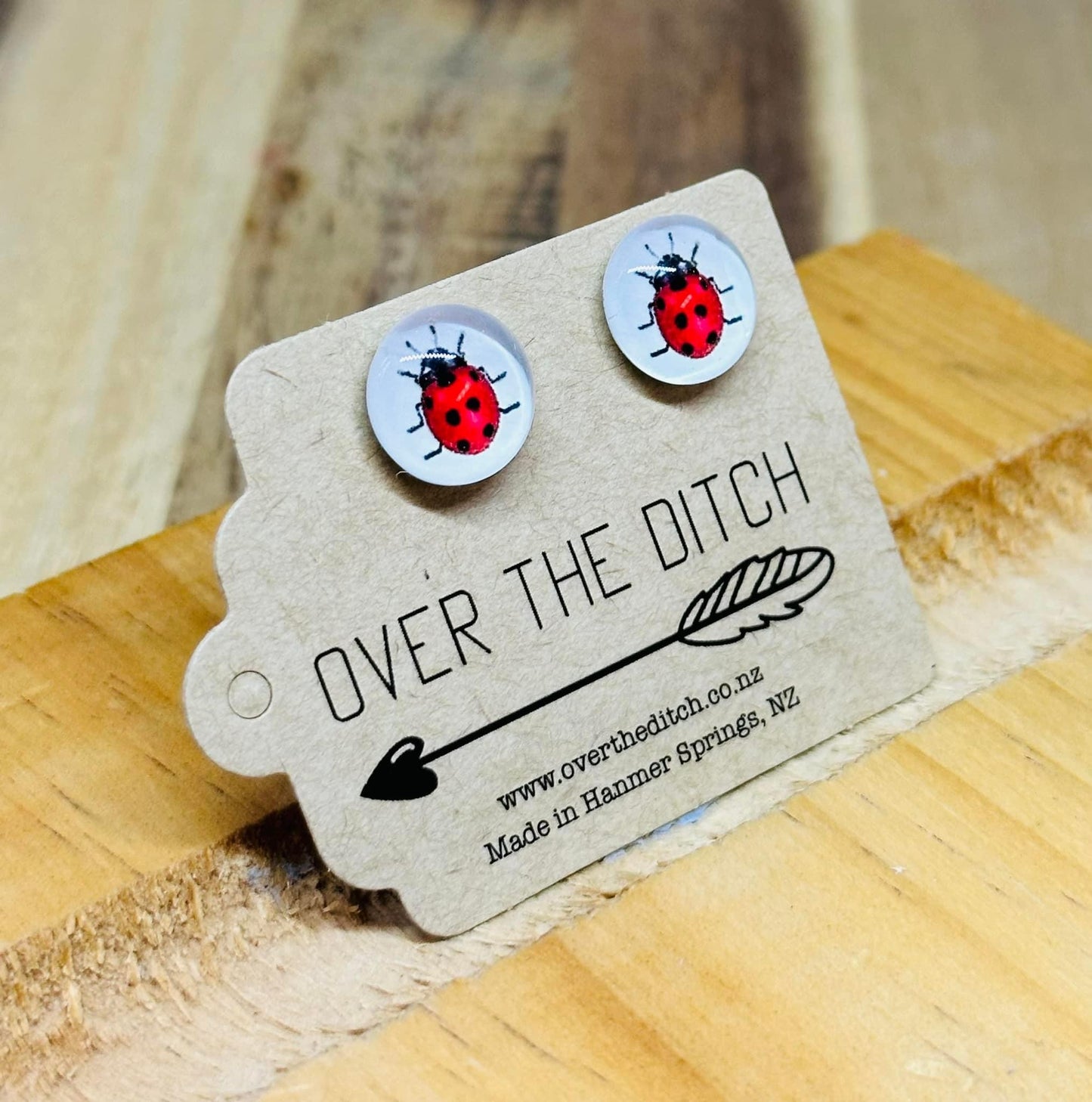 Domes - Cute ladybug