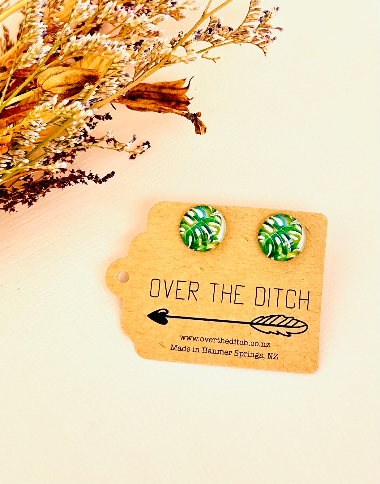 Domes - Monstera love